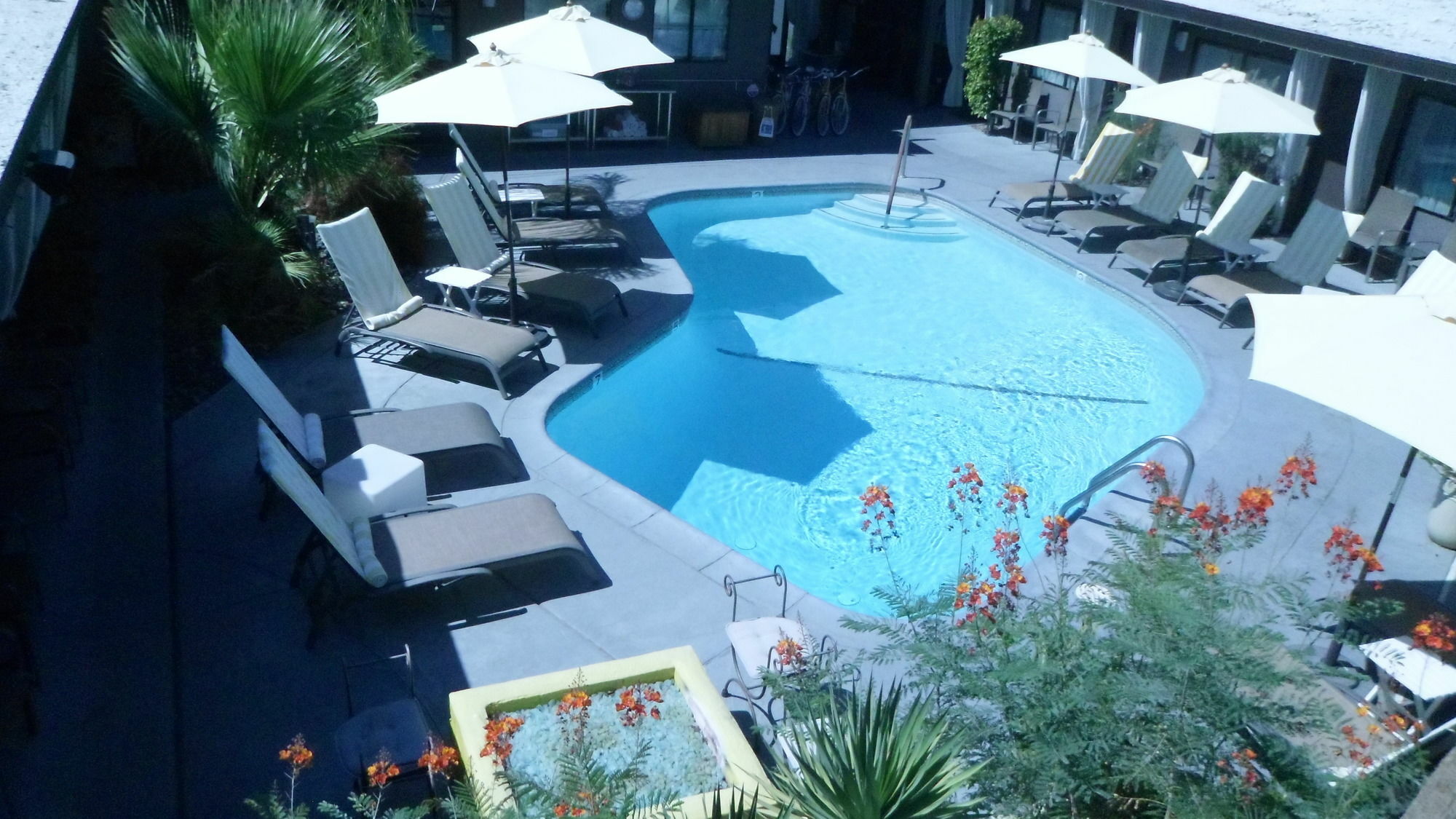 Avanti Hotel Palm Springs Dış mekan fotoğraf